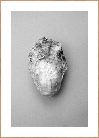 Oyster 1 | POSTER BOARD