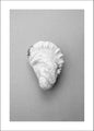 Oyster 2 | POSTER