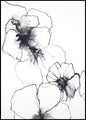 Flower line 1 | POSTER BOARD