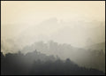 Foggy yellow | POSTER BOARD