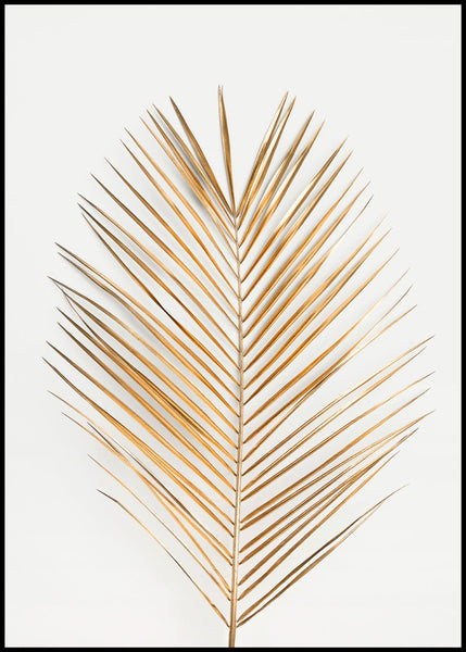 Palm Leaf Gold | POSTER BOARD