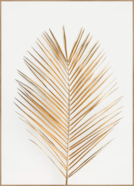 Palm Leaf Gold | POSTER BOARD